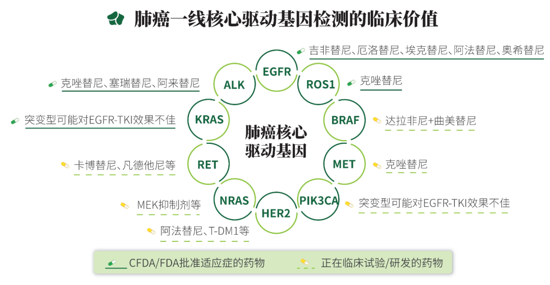 肺癌10基因联合检测