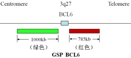 BCL6