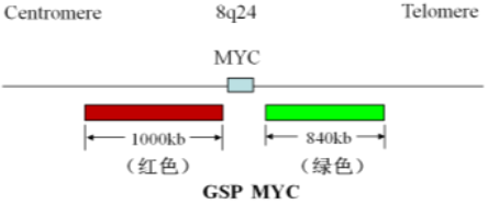 MYC