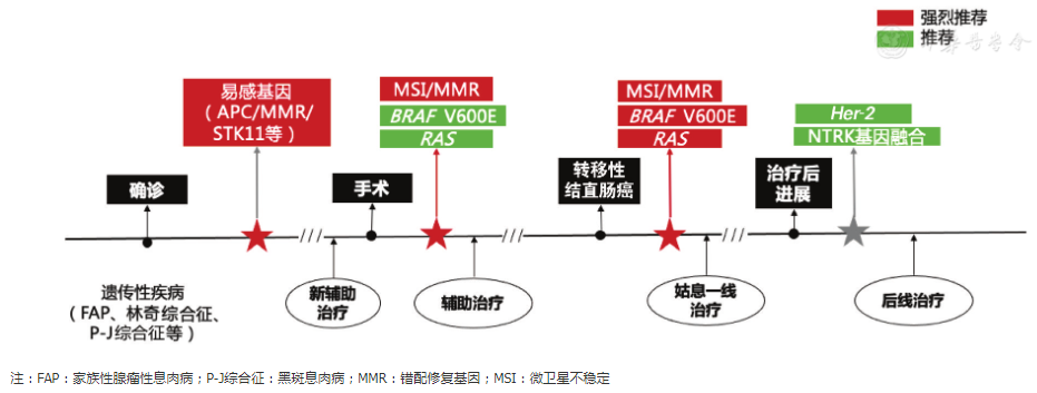 肠癌KNPB基因突变联合检测