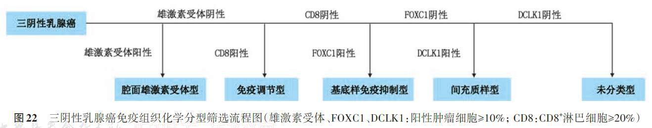 rxihc6