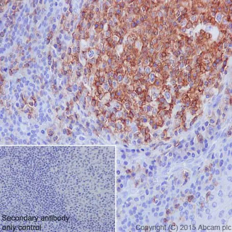cd45