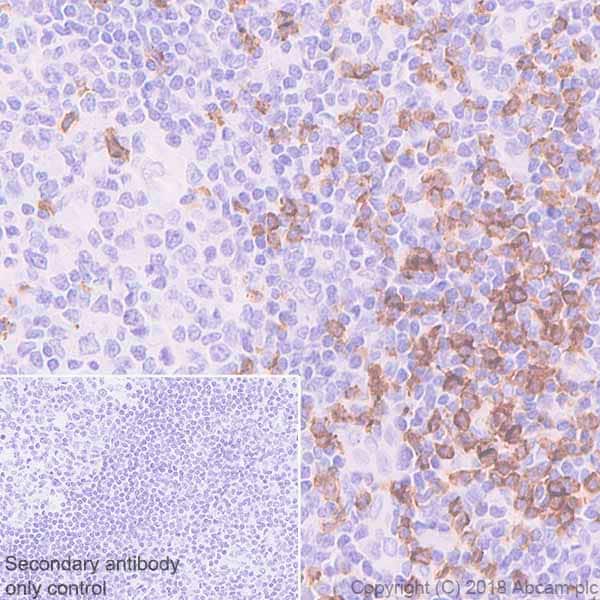 cd8