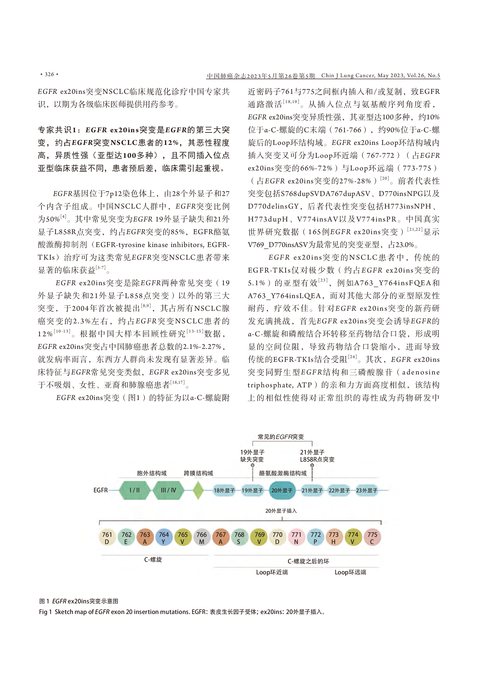 EGFR 20外显子插入突变非小细胞肺癌规范化诊疗中国专家共识（2023版）-002.png