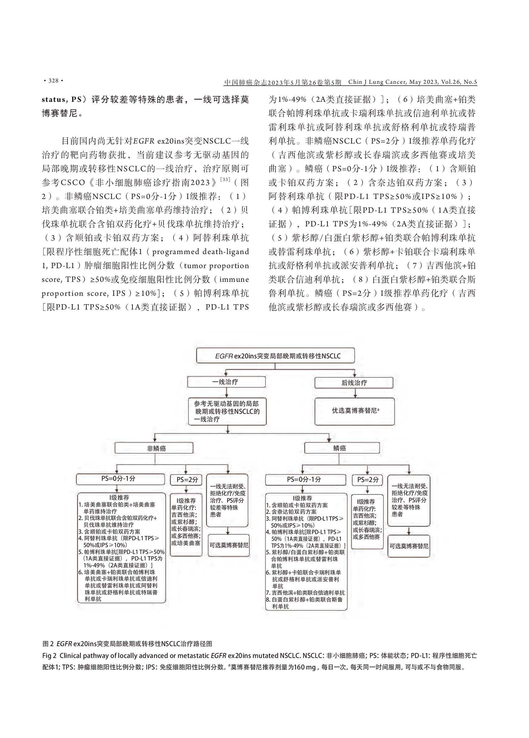 EGFR 20外显子插入突变非小细胞肺癌规范化诊疗中国专家共识（2023版）-004.png