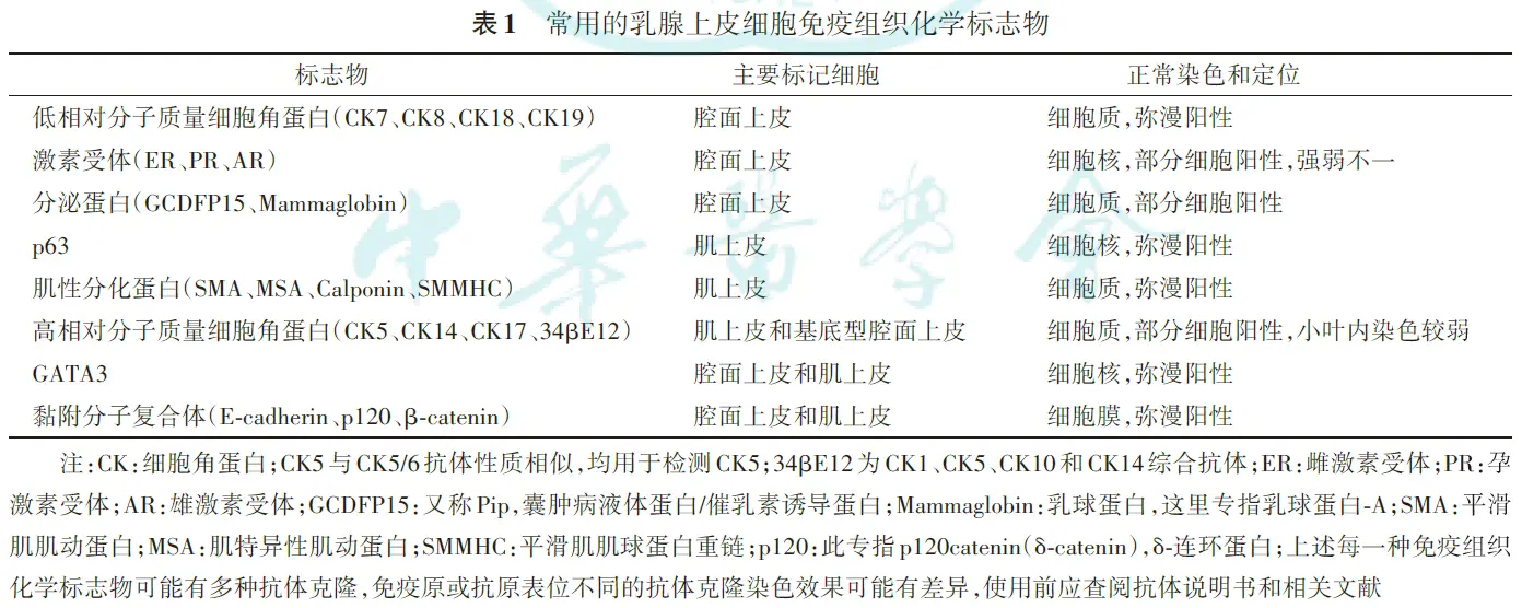 rxihc2