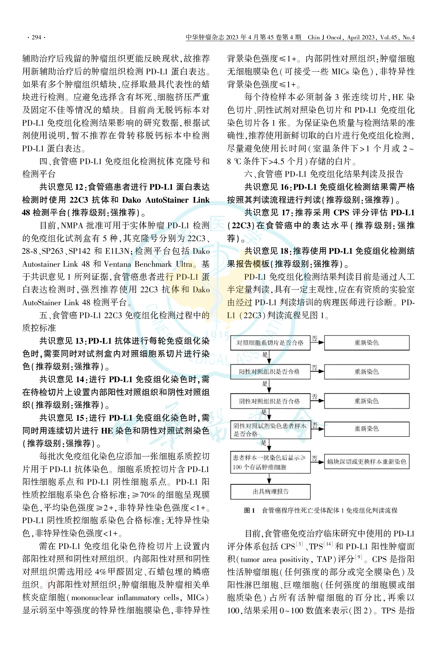 中国食管癌PD-L1蛋白表达检测临床病理专家共识（2023）-004.png