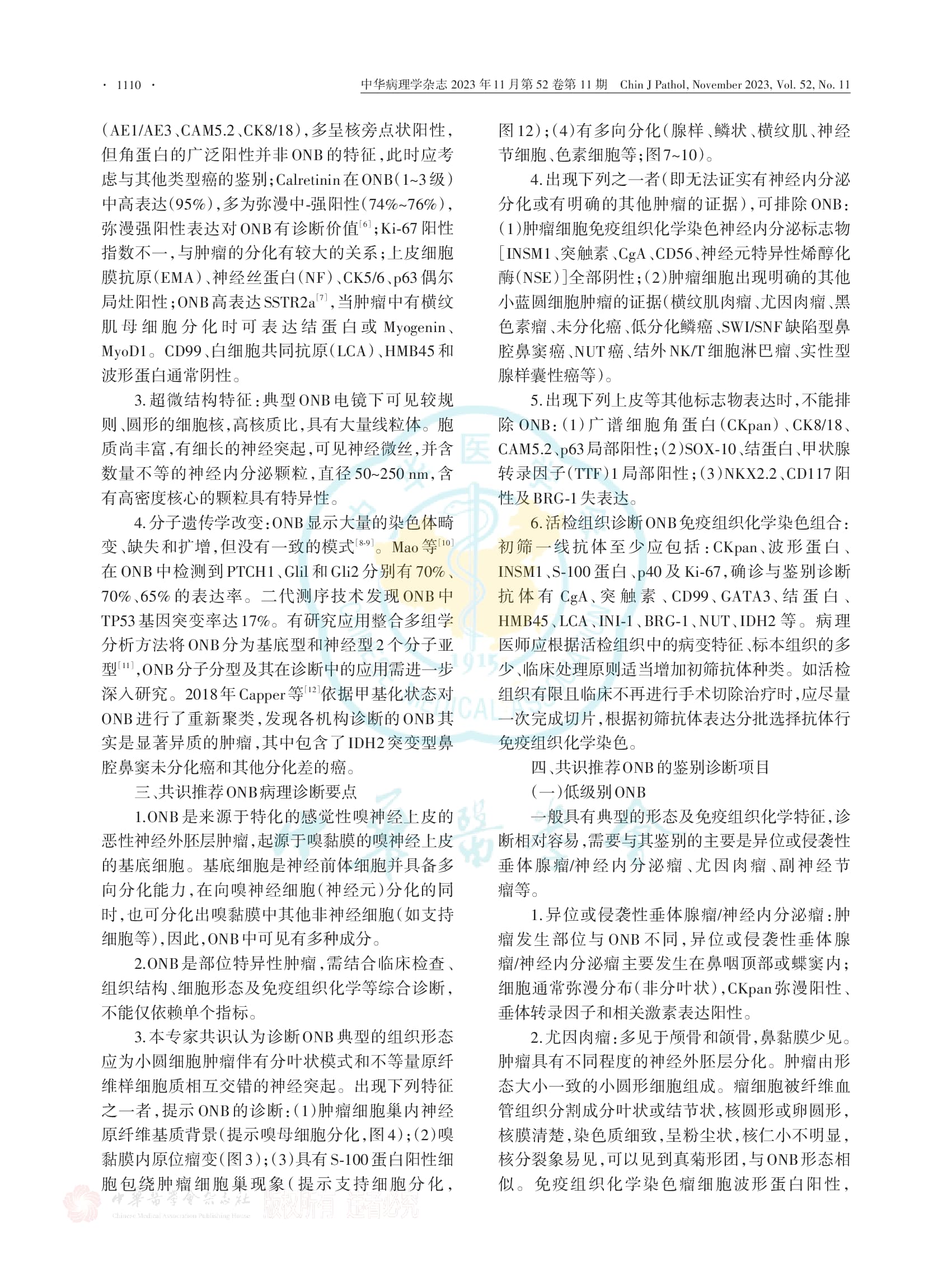 嗅神经母细胞瘤病理诊断中国专家共识（2023版）-004.jpg