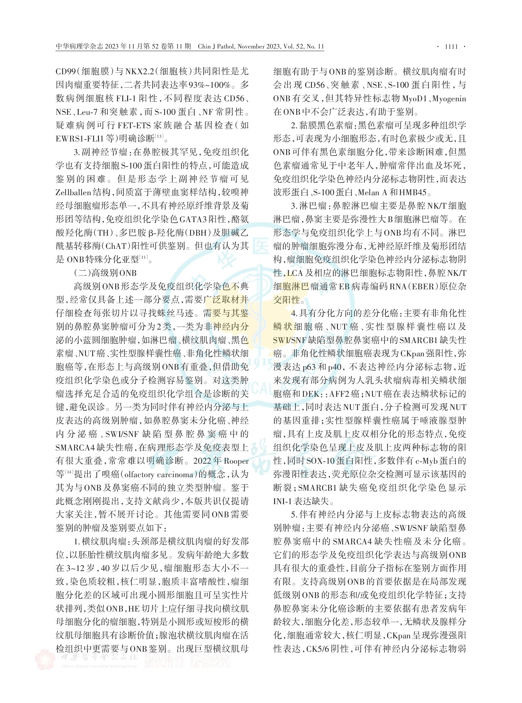 嗅神经母细胞瘤病理诊断中国专家共识（2023版）-005.jpg
