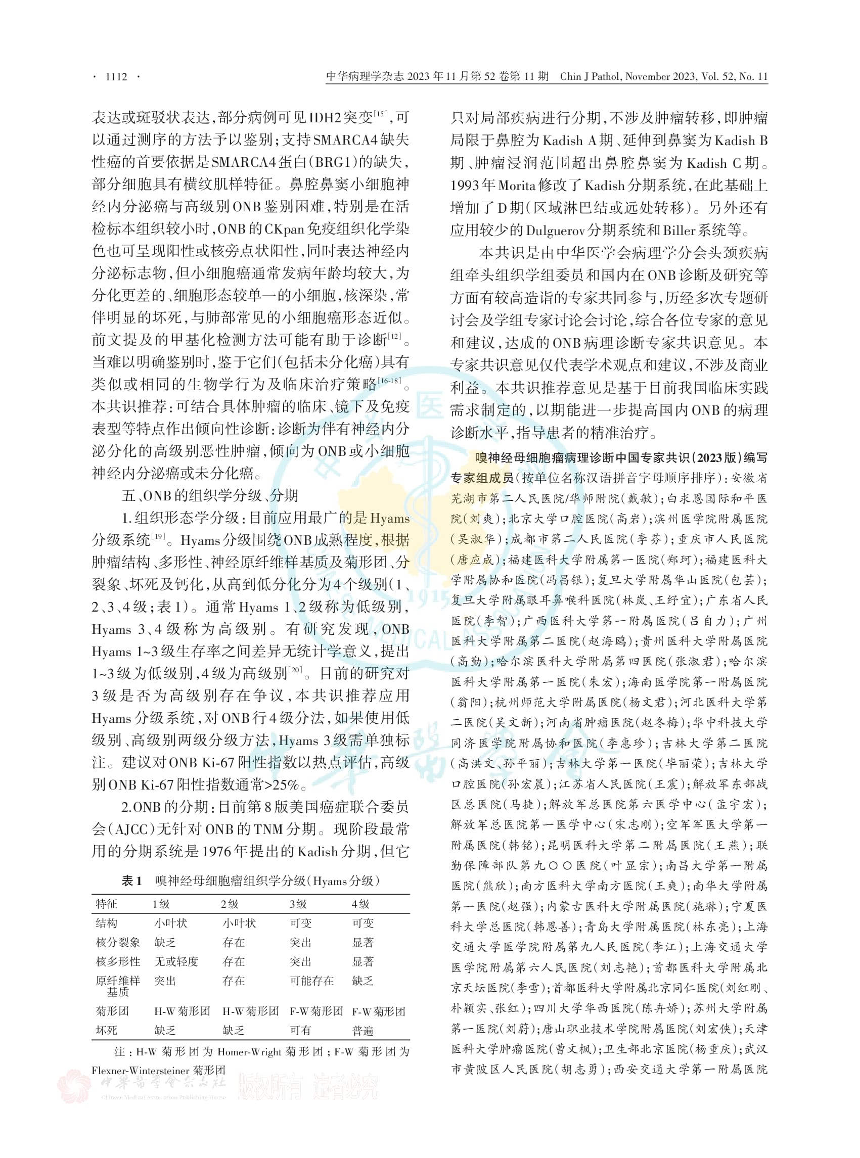 嗅神经母细胞瘤病理诊断中国专家共识（2023版）-006.jpg