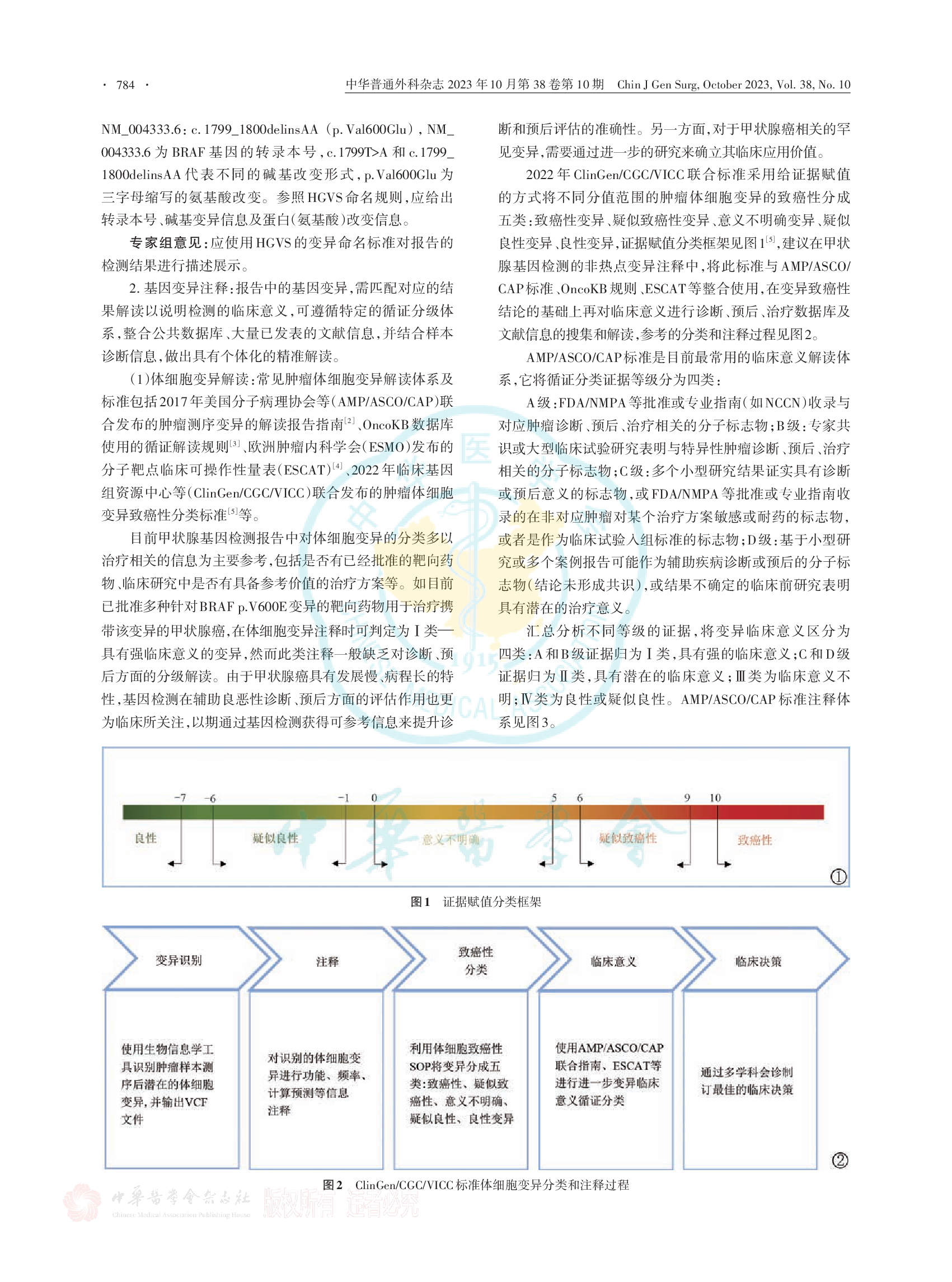 甲状腺肿瘤高通量测序技术基因检测报告模板1.0中国专家共识（2023版）-002.png