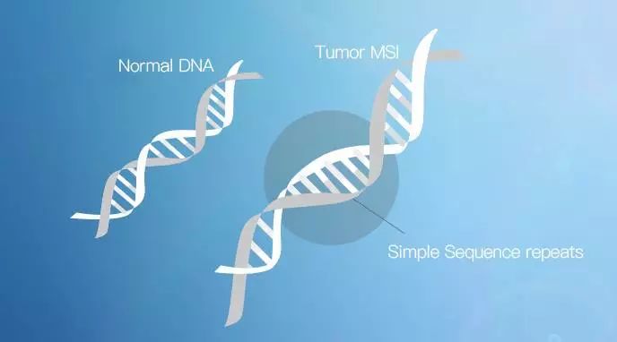 结直肠癌及其他相关实体瘤MSI检测专家共识(2019)