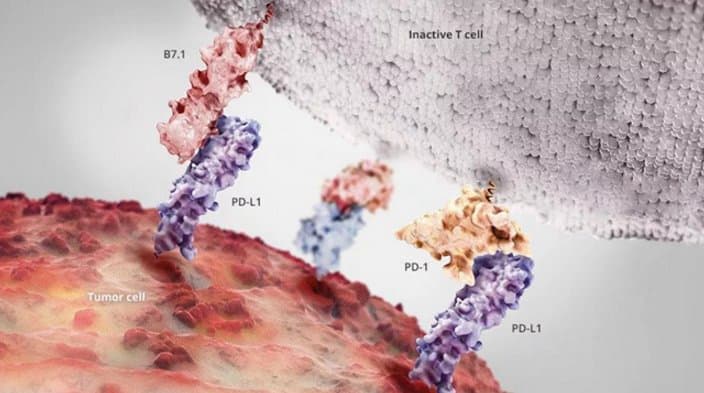 肿瘤突变负荷检测及临床应用中国专家共识(2020)