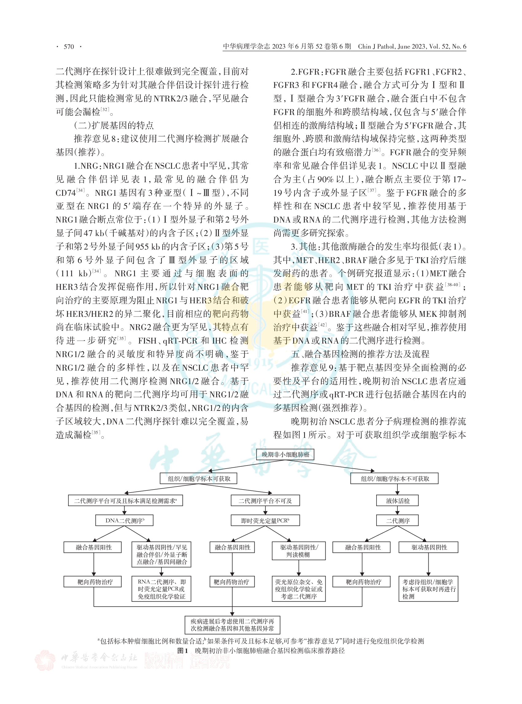 非小细胞肺癌融合基因检测临床实践中国专家共识（2023版）-006.png