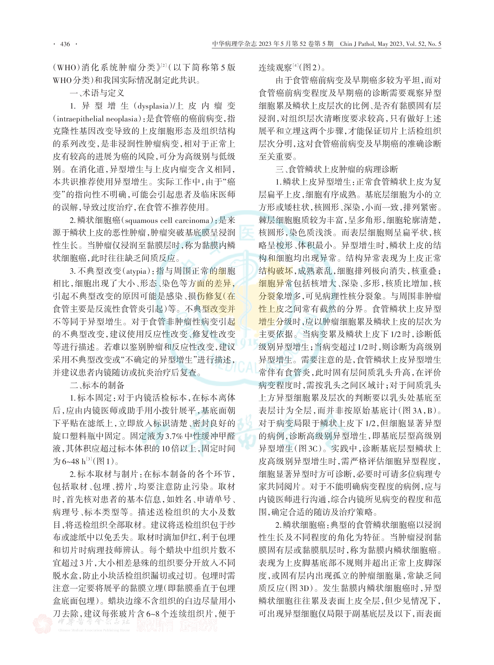 食管活检标本鳞状上皮肿瘤病理诊断专家共识（2023）-002.png