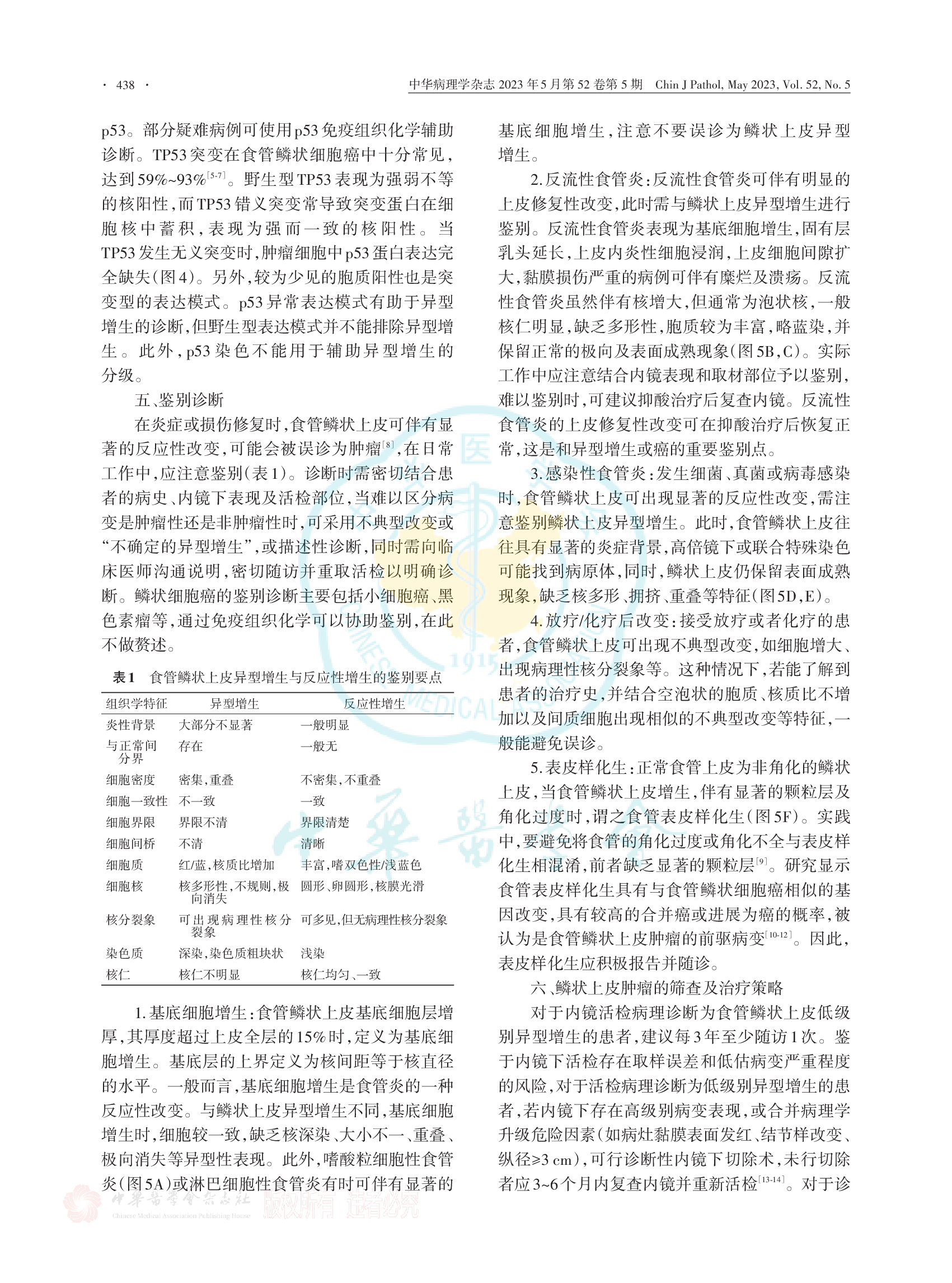 食管活检标本鳞状上皮肿瘤病理诊断专家共识（2023）-004.png
