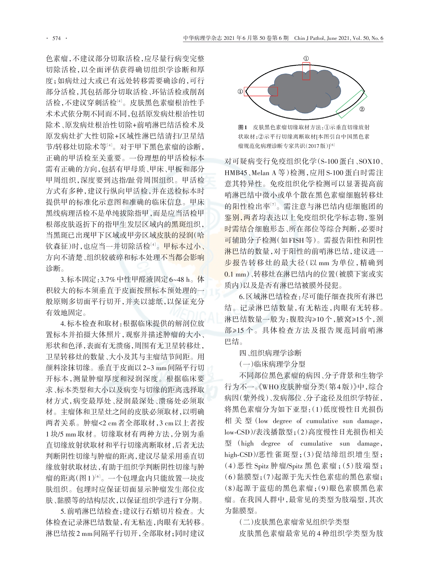黑色素瘤病理诊断临床实践指南（2021版）-003.png
