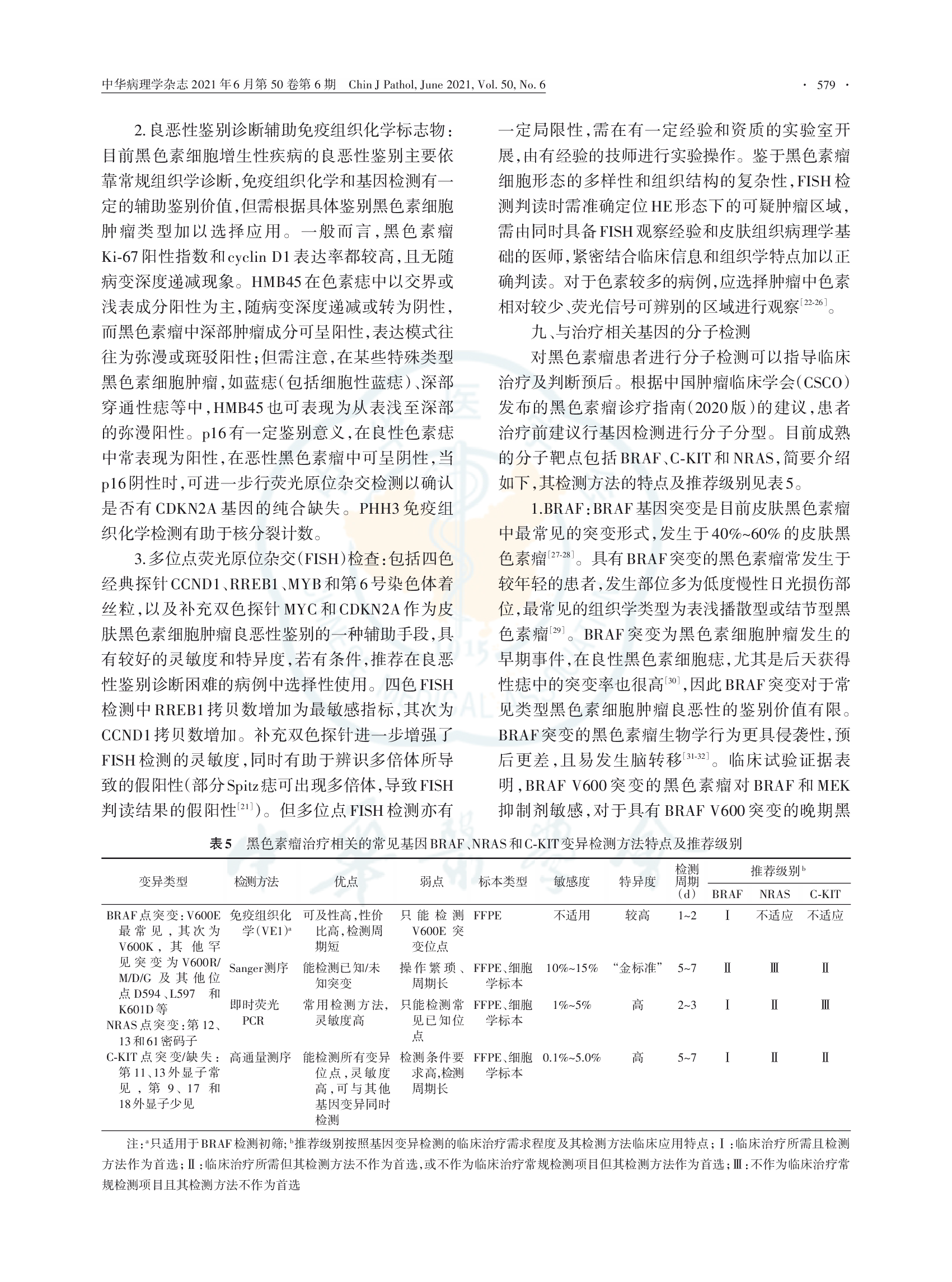 黑色素瘤病理诊断临床实践指南（2021版）-008.png